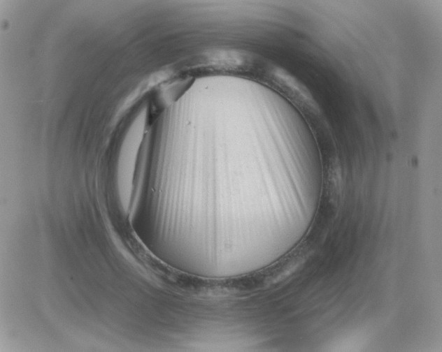 X0000081390734200701252104