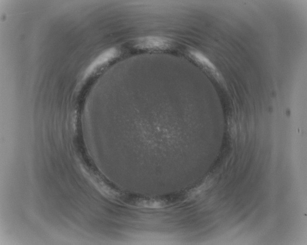 X0000081390735200701252104