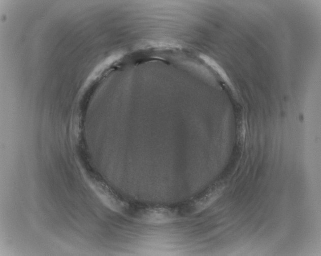 X0000081390736200701252104