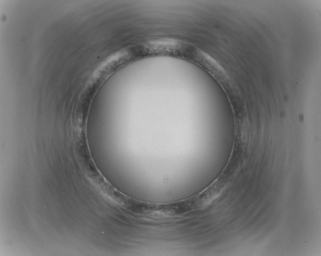 X0000081390737200701252104