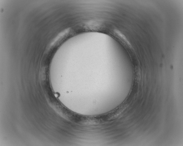 X0000081390738200701252104