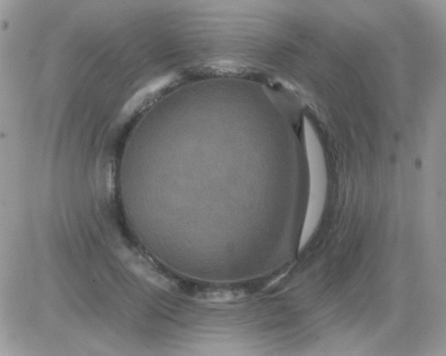 X0000081390740200701252104