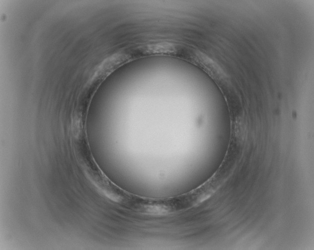 X0000081390741200701252104