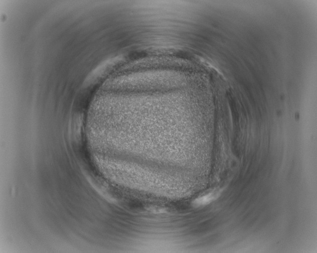 X0000081390742200701252104