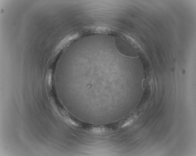 X0000081390744200701252104