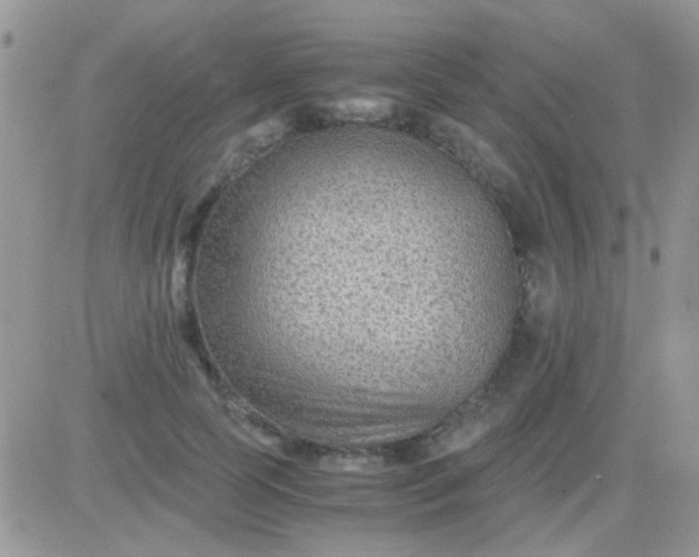 X0000081390745200701252104