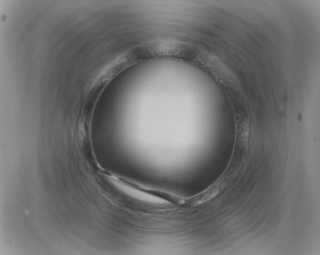 X0000081390746200701252104