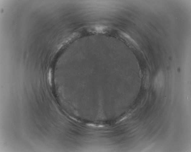 X0000081390747200701252104