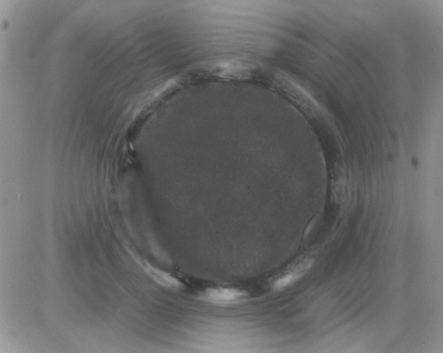 X0000081390748200701252104