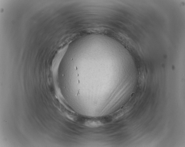 X0000081390749200701252104