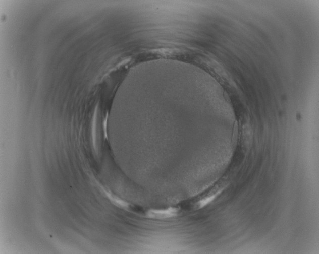 X0000081390750200701252104