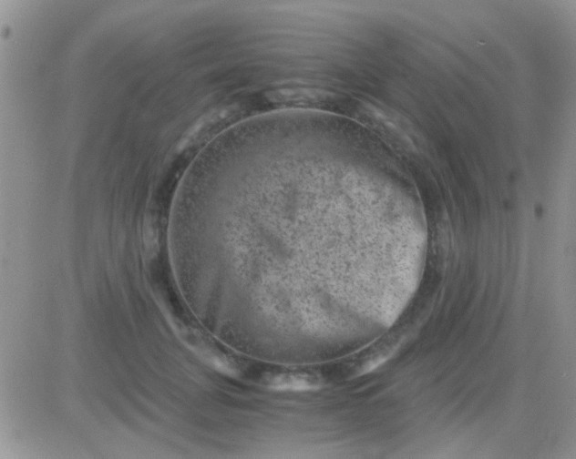 X0000081390751200701252104