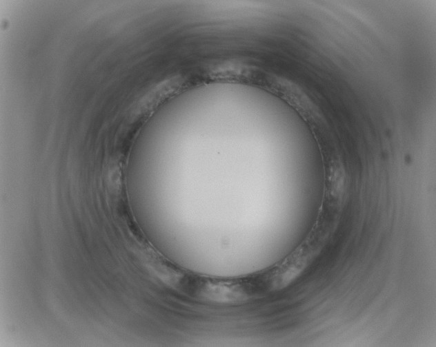 X0000081390753200701252104