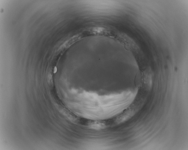 X0000081390754200701252104