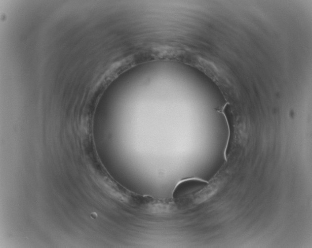 X0000081390756200701252104