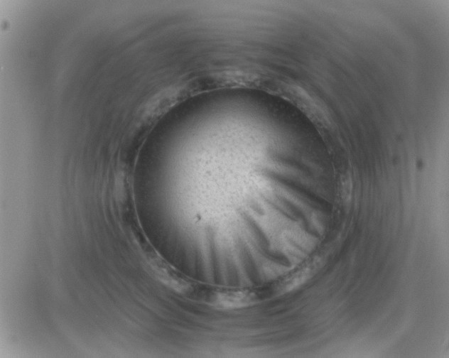 X0000081390757200701252104