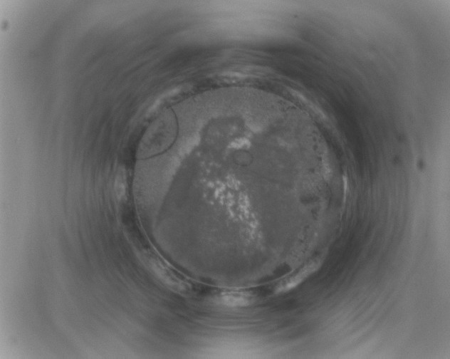 X0000081390758200701252104