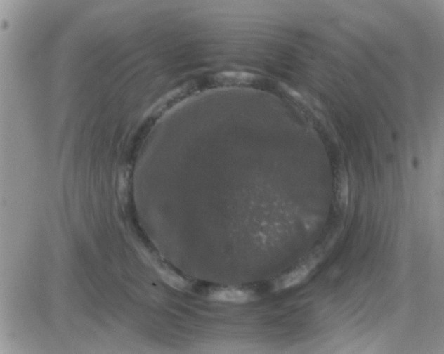 X0000081390759200701252104