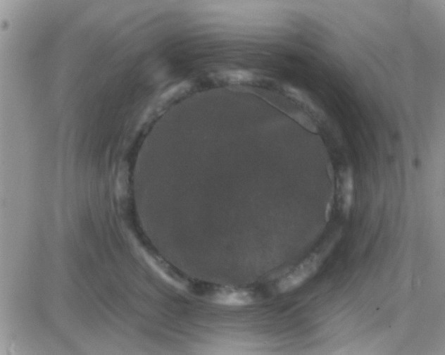 X0000081390760200701252104