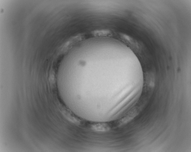 X0000081390761200701252104