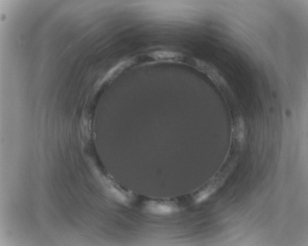 X0000081390763200701252104