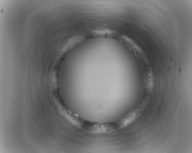 X0000081390764200701252104