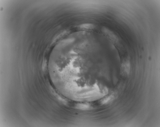 X0000081390765200701252104