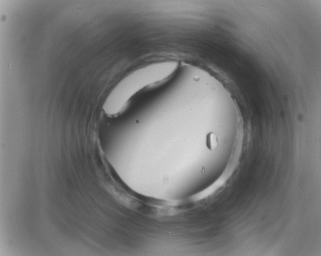 X0000081390766200701252104