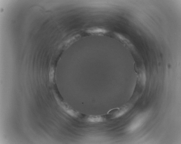 X0000081390767200701252104