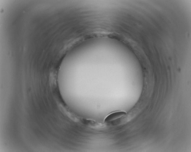 X0000081390768200701252104