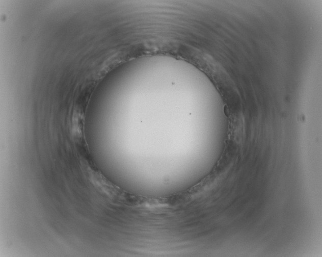 X0000081390770200701252103