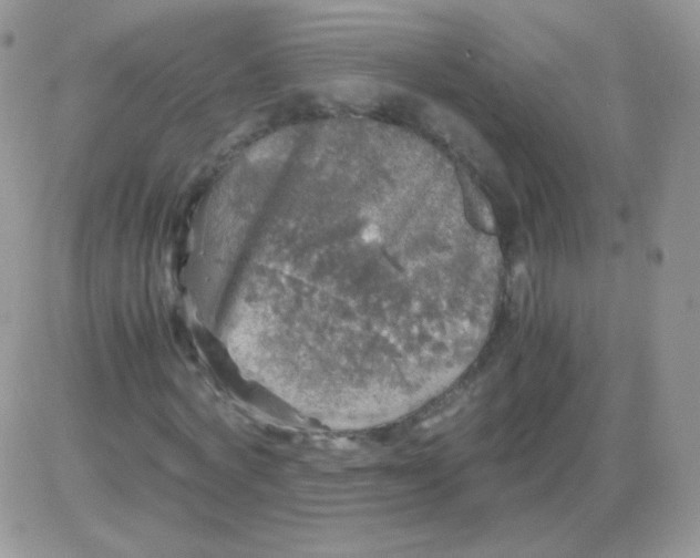 X0000081390772200701252103