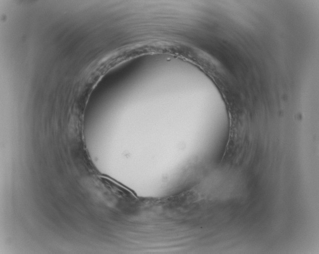 X0000081390773200701252103