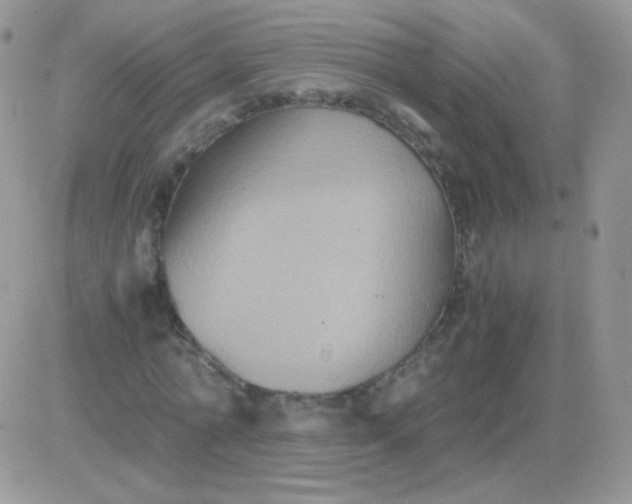 X0000081390774200701252103