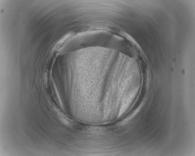 X0000081390777200701252103