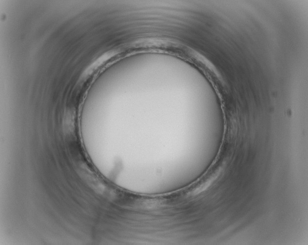 X0000081390778200701252103