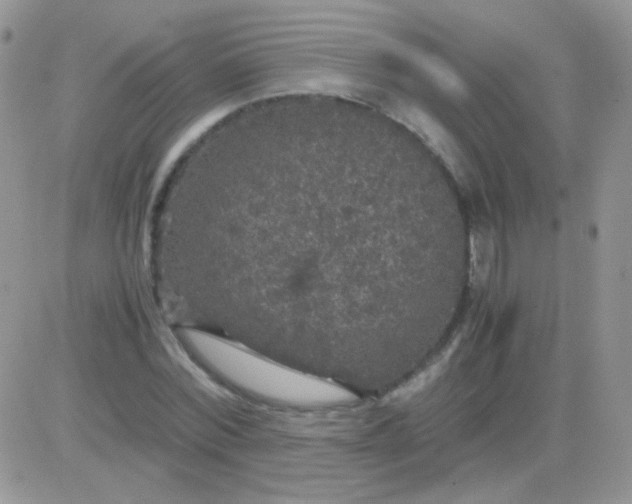 X0000081390780200701252103