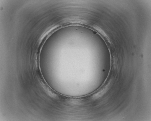 X0000081390782200701252103