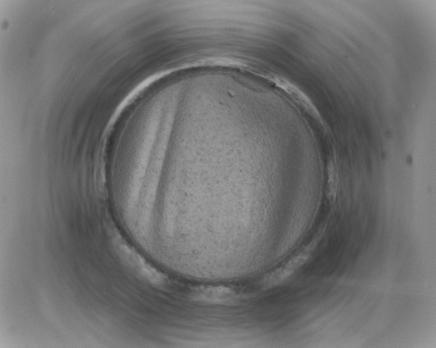 X0000081390784200701252103