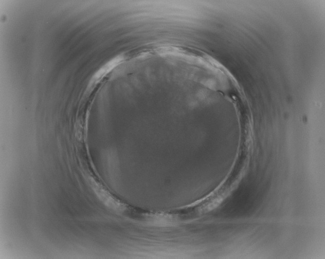 X0000081390785200701252103