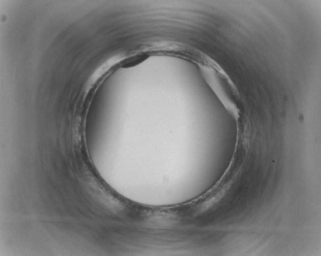 X0000081390786200701252103