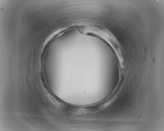 X0000081390787200701252103