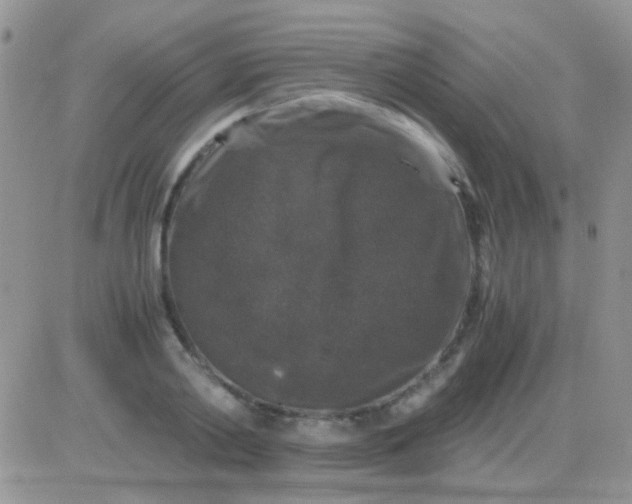 X0000081390790200701252103