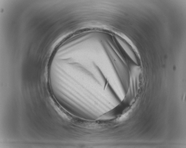 X0000081390791200701252103