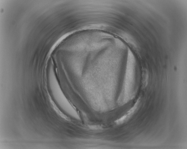 X0000081390792200701252103