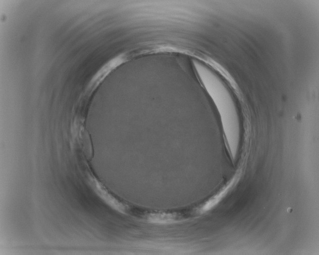 X0000081390793200701252103