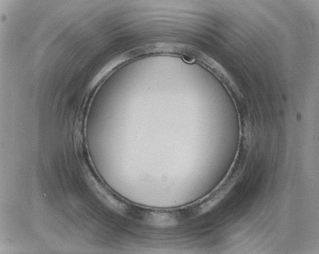 X0000081390794200701252103