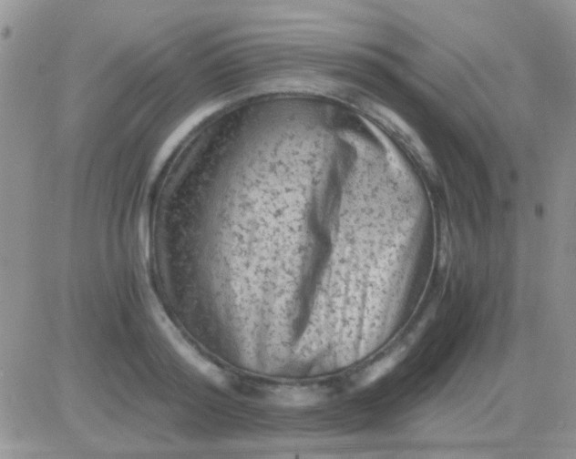 X0000081390796200701252103