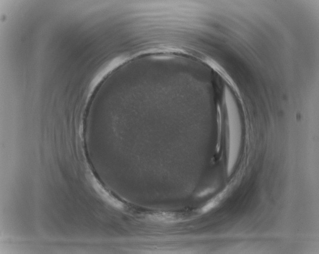 X0000081390797200701252103