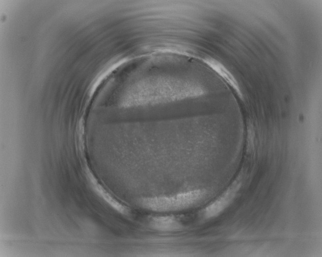 X0000081390798200701252103